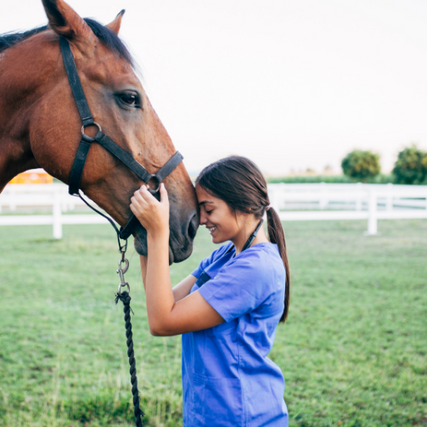 Animal Health Supplies